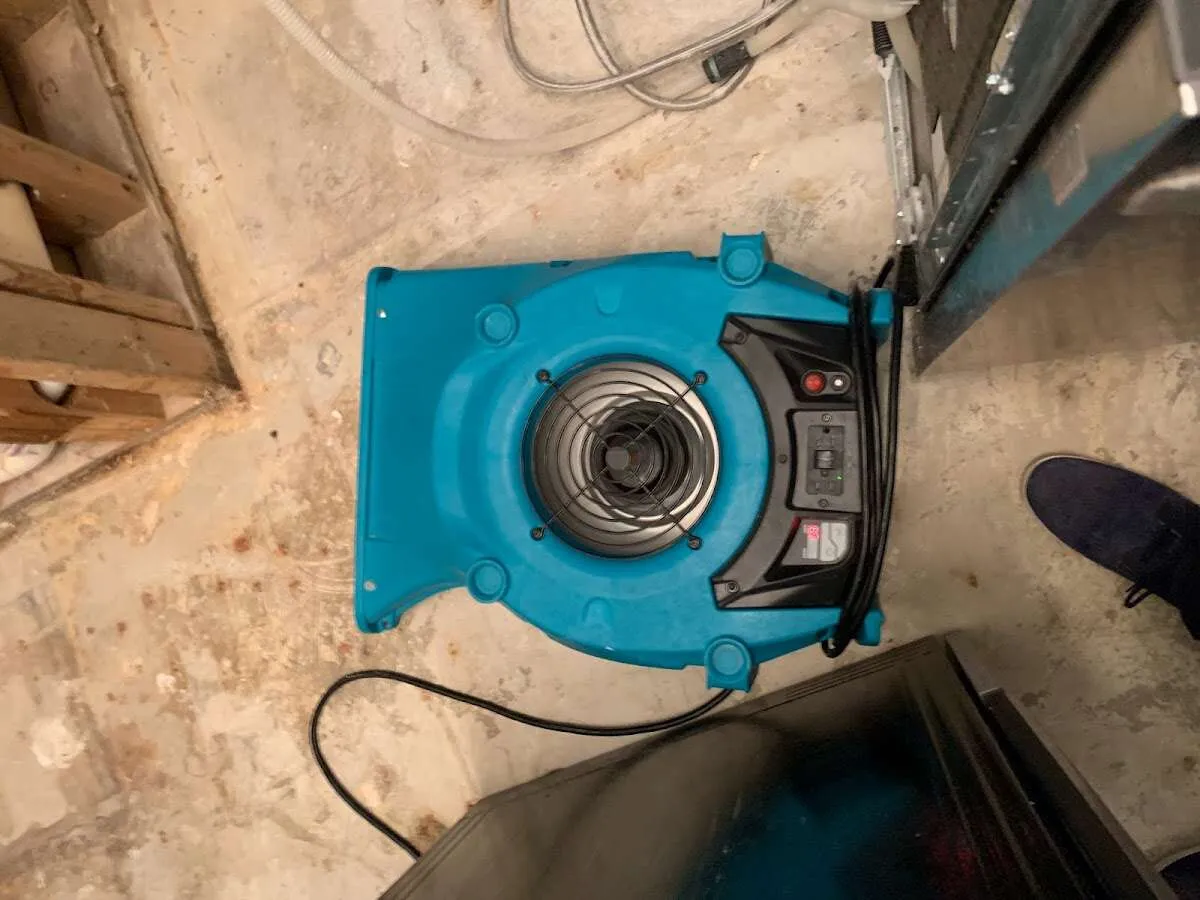 Air mover drying equipment for Mold Remediation & Removal in Evansville